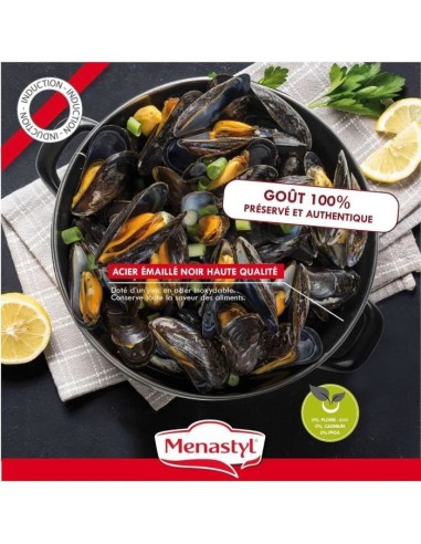 Marmite a moule - MENASTYL - 3645562 - En acier émaillé - Noir - 18 cm - 2,7 litres - Tous feux dont induction – MENASTYL (Faitout - Marmite) | STORE PRO SHOP 