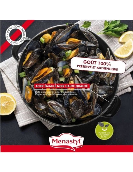 Marmite a moule - MENASTYL - 3645562 - En acier émaillé - Noir - 18 cm - 2,7 litres - Tous feux dont induction – MENASTYL (Faitout - Marmite) | STORE PRO SHOP 