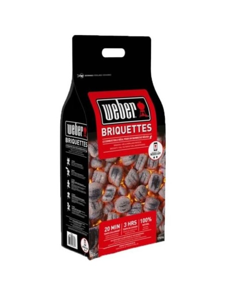 Sac de 8kg de briquettes - WEBER - 17591