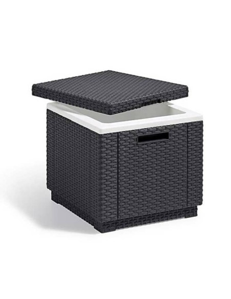 Keter Glaciere Ice Cube Graphite 405981