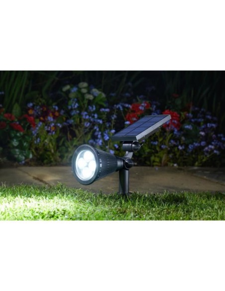 Spot Lumi 70L, Mail Order