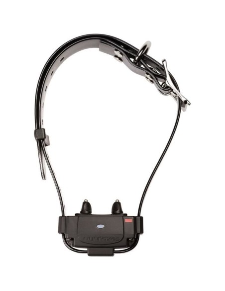 Collier anti-fugue - NUM'AXES - CANIFUGUE FUG1034 - Noir