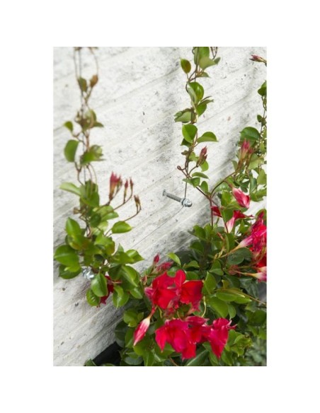 Treillis métallique - NATURE - Kit de palissage pour plantes grimpantes - fil de fer galvanisé Ø1,8 mm x 10 m