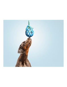 Accueil| Produits StoreProShop 2