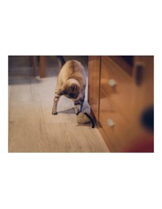 Accueil| Produits StoreProShop 2