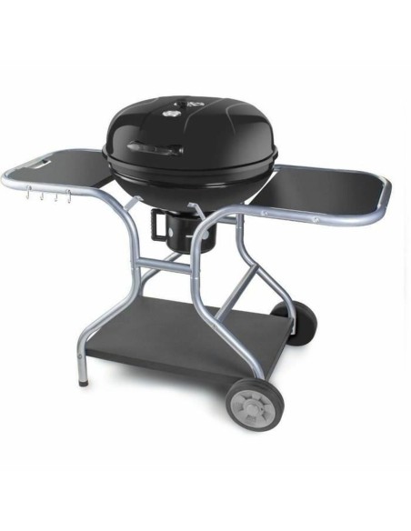 Barbecue Portable Fieldmann FZG 1014 Métal Acier –  (Barbecue) | STORE PRO SHOP 