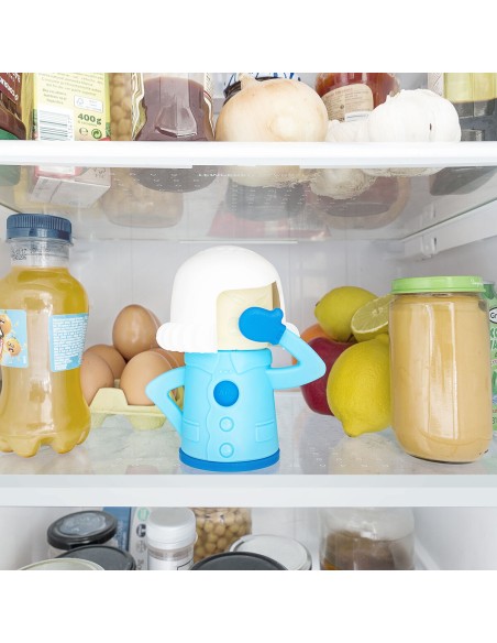 Déodorant pour réfrigérateurs Fummom InnovaGoods – INNOVAGOODS (Autres) | STORE PRO SHOP 