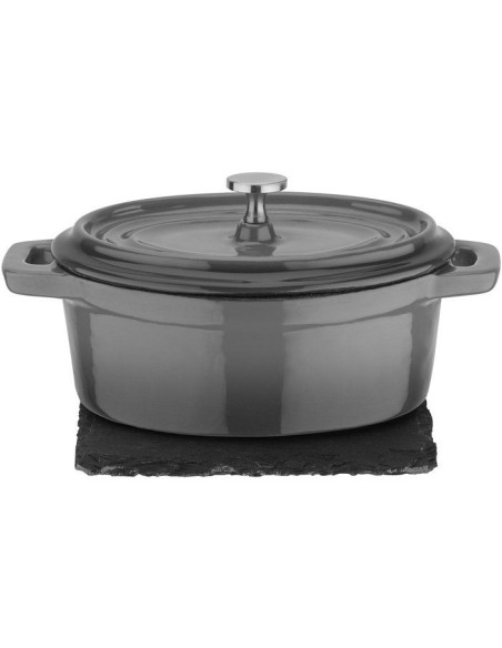 Mini Cocotte - GSW - 718301 - Fonte d'acier massive - Induction - Gris anthracite – GSW (Cocotte) | STORE PRO SHOP 