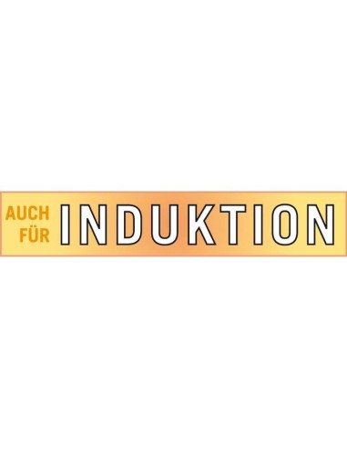 Mini Cocotte - GSW - 718301 - Fonte d'acier massive - Induction - Gris anthracite – GSW (Cocotte) | STORE PRO SHOP 