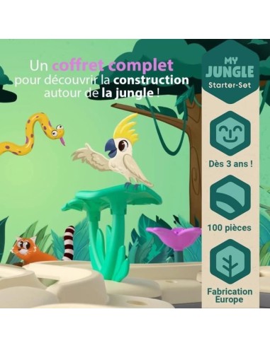 Gravitrax Junior - Starter Set My Jungle 97 pieces - Circuit de billes - Jeu de construction créatif - Ravensburger - Des 3 an – RAVENSBURGER (Circuit De Bille) | STORE PRO SHOP 