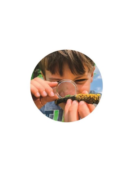 La maison des insectes CLEMENTONI – CLEMENTONI (Cle Eveil) | STORE PRO SHOP 