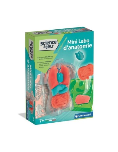 Mini Labo d'anatomie CLEMENTONI – CLEMENTONI (Cle Eveil) | STORE PRO SHOP 