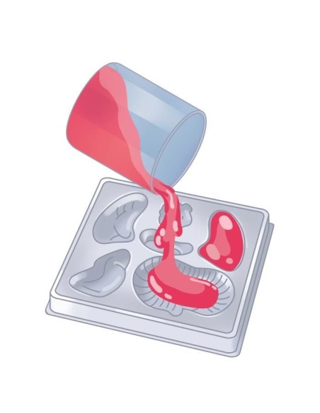 Mini Labo d'anatomie CLEMENTONI – CLEMENTONI (Cle Eveil) | STORE PRO SHOP 