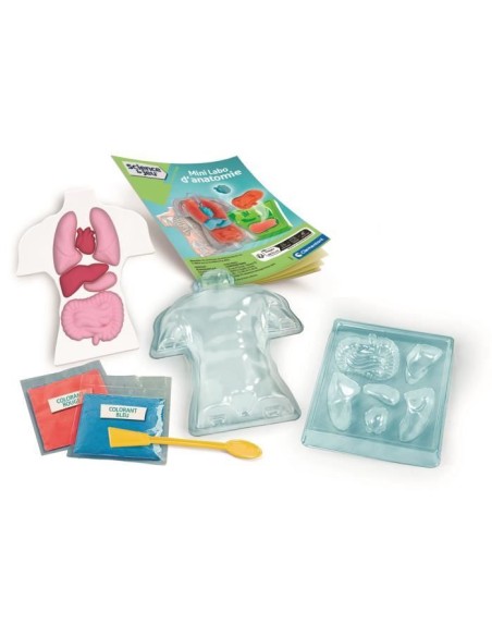 Mini Labo d'anatomie CLEMENTONI – CLEMENTONI (Cle Eveil) | STORE PRO SHOP 