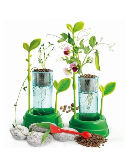 Clementoni - Science  Jeu - Botanique et hydroponie – CLEMENTONI (Decouverte Nature - Decouverte Animaux - Decouverte Ins) | STORE PRO SHOP 