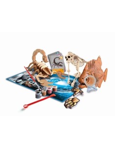 Accueil| Produits StoreProShop 2