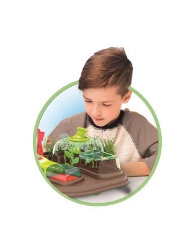 CLEMENTONI - L'observatoire des insectes – CLEMENTONI (Decouverte Nature - Decouverte Animaux - Decouverte Ins) | STORE PRO SHOP 