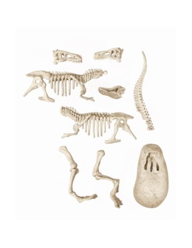 Clementoni - Science  Jeu - Archéo Ludic - Vélociraptor – CLEMENTONI (Etude Histoire - Etude Geographie - Etude Archeologie) | STORE PRO SHOP 