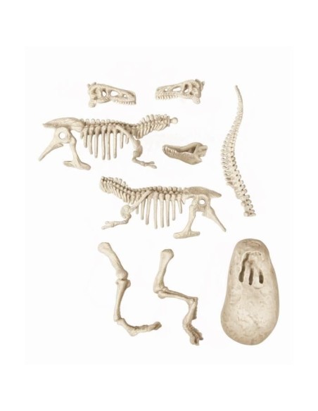 Clementoni - Science  Jeu - Archéo Ludic - Vélociraptor – CLEMENTONI (Etude Histoire - Etude Geographie - Etude Archeologie) | STORE PRO SHOP 
