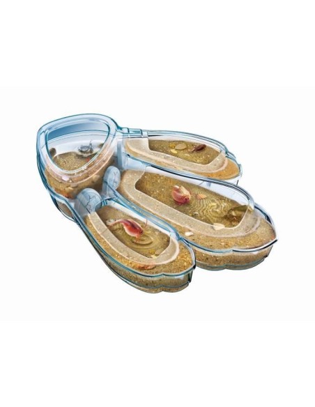 Clementoni - Science  Jeu - Triops – CLEMENTONI (Etude Histoire - Etude Geographie - Etude Archeologie) | STORE PRO SHOP 
