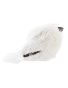 Accueil| Produits StoreProShop 2