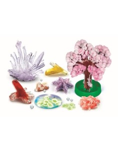 Accueil| Produits StoreProShop 2