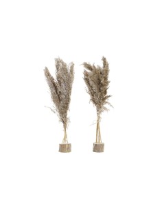 Accueil| Produits StoreProShop