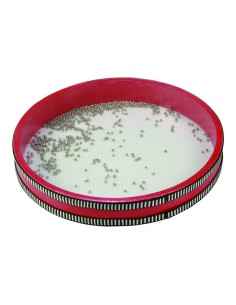 Accueil| Produits StoreProShop
