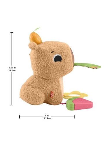 MON CAPYBARA CALINS – FISHER PRICE (Jeu D'apprentissage) | STORE PRO SHOP 