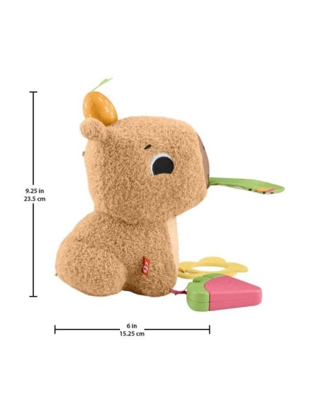 MON CAPYBARA CALINS – FISHER PRICE (Jeu D'apprentissage) | STORE PRO SHOP 