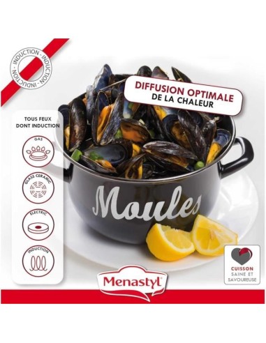 Marmite a moule - MENASTYL - 3645563 - En acier émaillé - Noir - 18 cm - Avec écritures - Tous feux dont induction – MENASTYL (Faitout - Marmite) | STORE PRO SHOP 