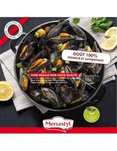 Marmite a moule - MENASTYL - 3645563 - En acier émaillé - Noir - 18 cm - Avec écritures - Tous feux dont induction – MENASTYL (Faitout - Marmite) | STORE PRO SHOP 
