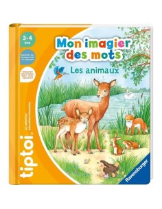 Accueil| Produits StoreProShop