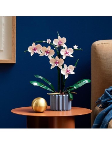 LEGO  Icons 10311 L'Orchidée Plantes de Fleurs Artificielles d'Intérieur, Décoration de Maison – LEGO (Jeu D'assemblage - Jeu De Construction - Jeu De Manipu) | STORE PRO SHOP 