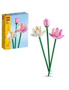 Accueil| Produits StoreProShop