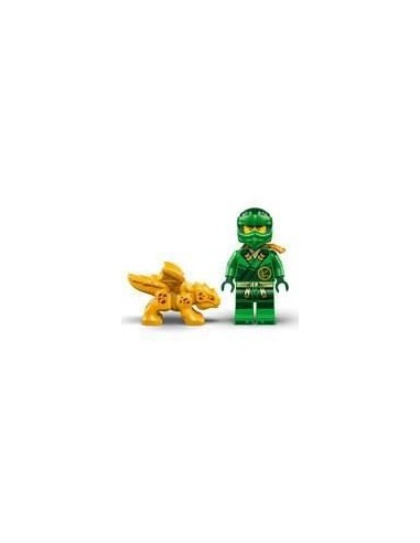 LEGO NINJAGO 71829 Le dragon vert de la foret de Lloyd - Jeu de construction des 6 ans – LEGO (Jeu D'assemblage - Jeu De Construction - Jeu De Manipu) | STORE PRO SHOP 