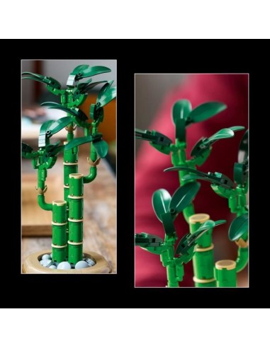LEGO Botanique 10344 Le bambou de la chance - Plante artificielle et décoration intérieure – LEGO () | STORE PRO SHOP 