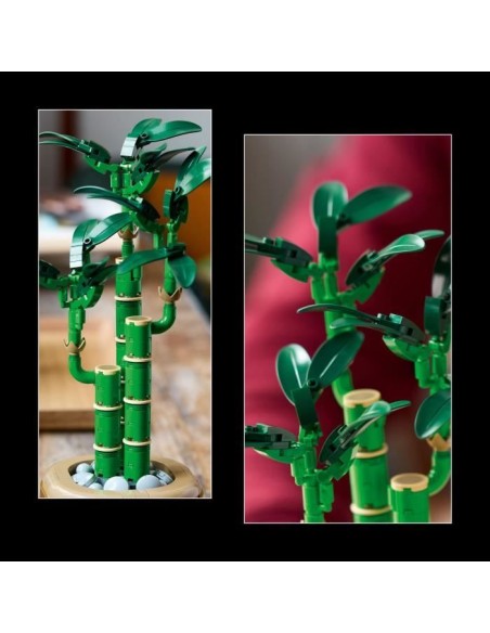 LEGO Botanique 10344 Le bambou de la chance - Plante artificielle et décoration intérieure – LEGO () | STORE PRO SHOP 