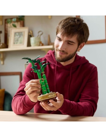 LEGO Botanique 10344 Le bambou de la chance - Plante artificielle et décoration intérieure – LEGO () | STORE PRO SHOP 