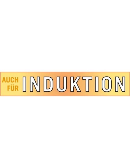 Friteuse - GSW - 488204 - Induction - 22 cm - Couvercle en verre - Acier inoxydable – GSW (Friteuse) | STORE PRO SHOP 