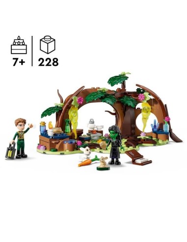 LEGO Wicked 75687 Le Repaire d'Elphaba - Jouet de Construction des 7 ans - Mini-Poupées – LEGO (Jeu D'assemblage - Jeu De Construction - Jeu De Manipu) | STORE PRO SHOP 
