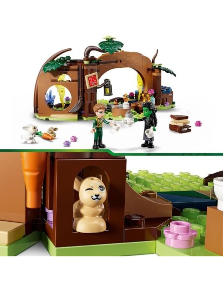 LEGO Wicked 75687 Le Repaire d'Elphaba - Jouet de Construction des 7 ans - Mini-Poupées – LEGO (Jeu D'assemblage - Jeu De Construction - Jeu De Manipu) | STORE PRO SHOP 
