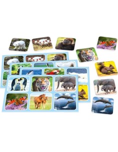 Accueil| Produits StoreProShop 2