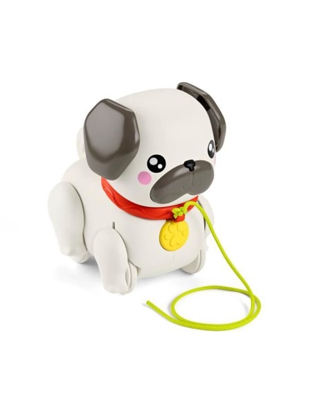 Fisher-Price-Mon Carlin a Promener-Jouet a tirer pour bébé HTW94 – FISHER PRICE (Jouet A Tirer - Jouet A Pousser) | STORE PRO SHOP 