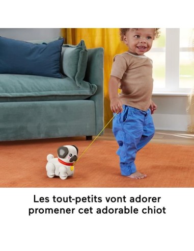 Fisher-Price-Mon Carlin a Promener-Jouet a tirer pour bébé HTW94 – FISHER PRICE (Jouet A Tirer - Jouet A Pousser) | STORE PRO SHOP 
