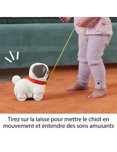Fisher-Price-Mon Carlin a Promener-Jouet a tirer pour bébé HTW94 – FISHER PRICE (Jouet A Tirer - Jouet A Pousser) | STORE PRO SHOP 