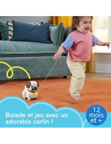 Fisher-Price-Mon Carlin a Promener-Jouet a tirer pour bébé HTW94 – FISHER PRICE (Jouet A Tirer - Jouet A Pousser) | STORE PRO SHOP 