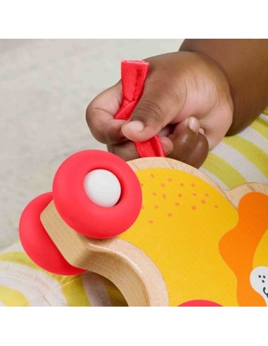 FISHER-PRICE Animaux a pousser en bois os - JFN19 – FISHER PRICE () | STORE PRO SHOP 