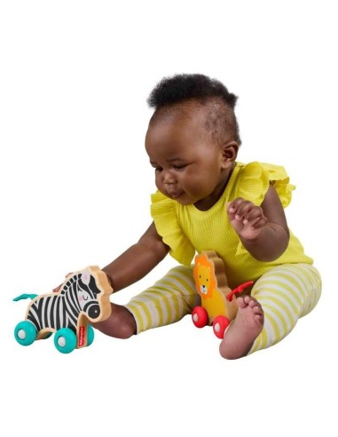 FISHER-PRICE Animaux a pousser en bois os - JFN19 – FISHER PRICE () | STORE PRO SHOP 