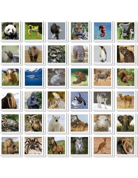 Identic Animaux - Jeu de mémoire - EDUCA - 72 cartes, développe mémoire et attention - Des 3 ans – EDUCA (Memory) | STORE PRO SHOP 